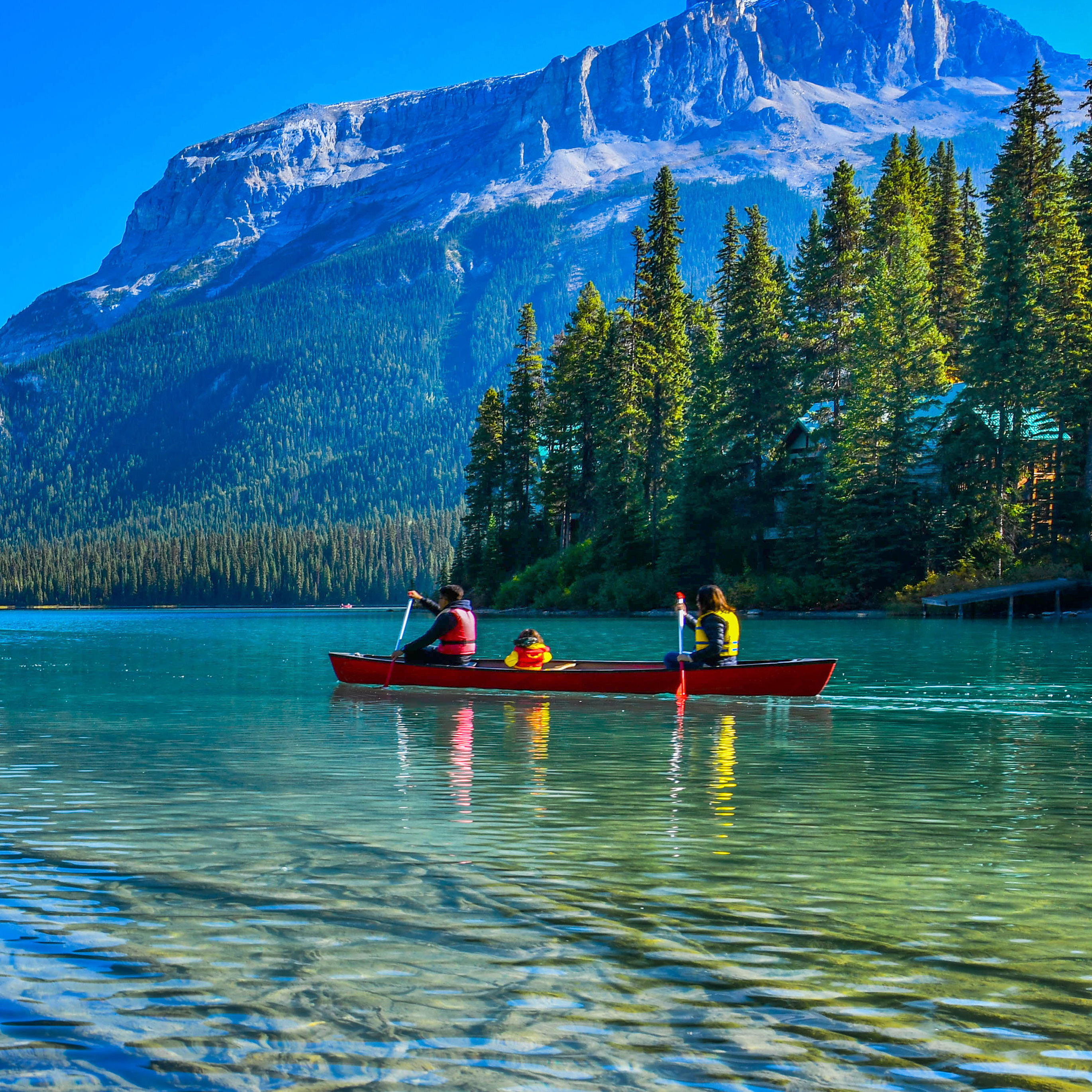 Canoe Paddles