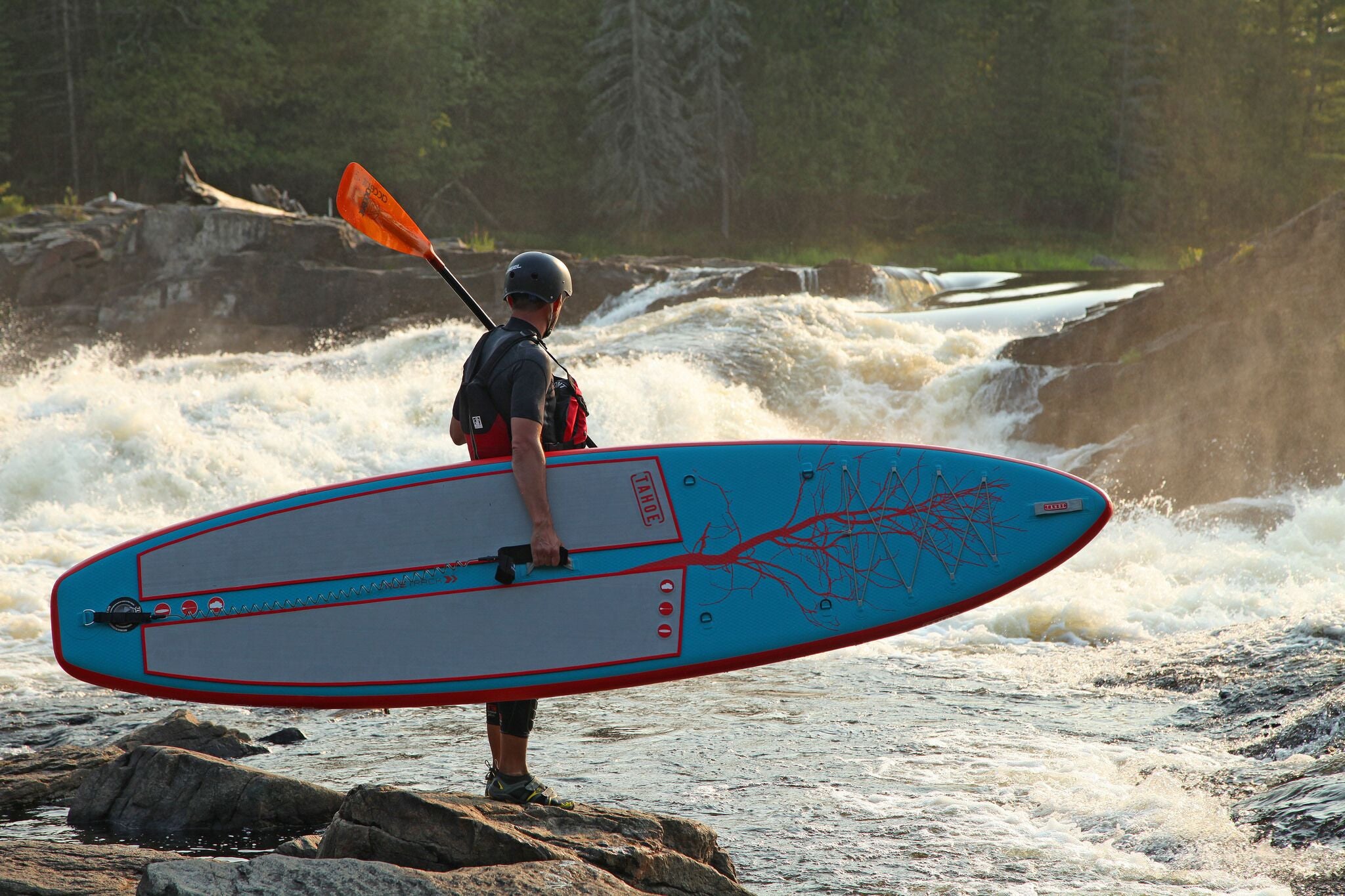 Premier Bolt - Accent Paddles
